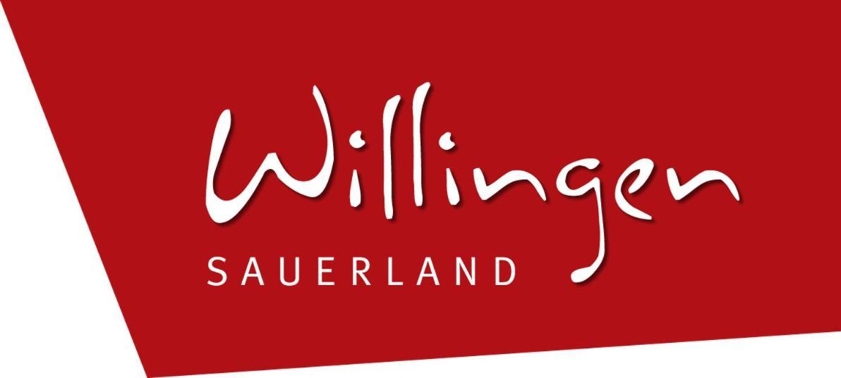 Quartier12 "Ski In & Bike Out" - Fewo Berg Willingen  Esterno foto